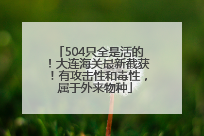 504只全是活的！大连海关最新截获！有攻击性和毒性，属于外来物种