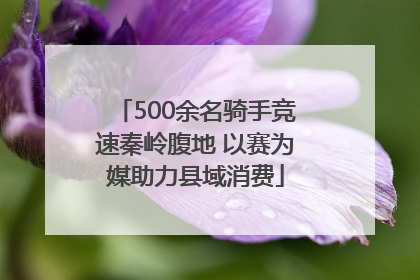 500余名骑手竞速秦岭腹地 以赛为媒助力县域消费