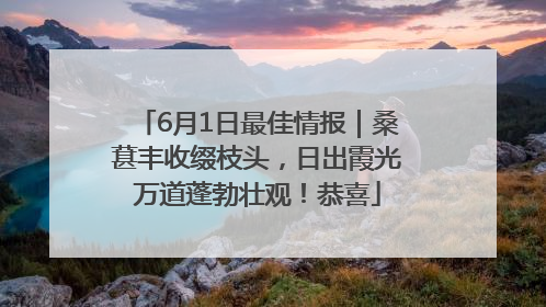6月1日最佳情报｜桑葚丰收缀枝头，日出霞光万道蓬勃壮观！恭喜