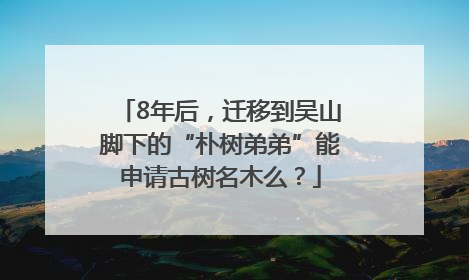 8年后，迁移到吴山脚下的“朴树弟弟”能申请古树名木么？