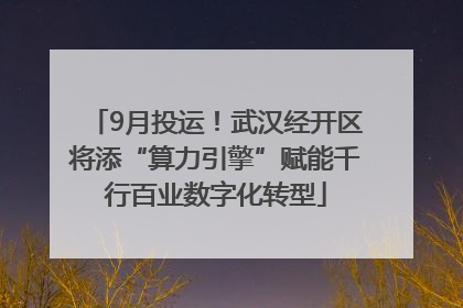 9月投运！武汉经开区将添“算力引擎”赋能千行百业数字化转型