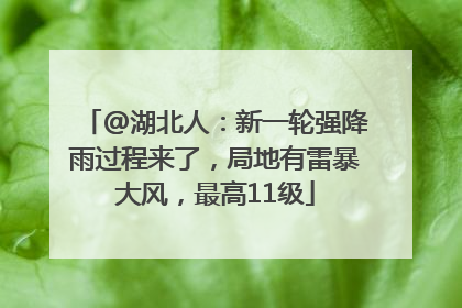 @湖北人：新一轮强降雨过程来了，局地有雷暴大风，最高11级