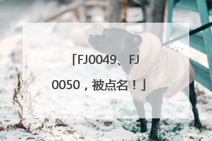 FJ0049、FJ0050，被点名！