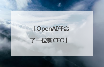 OpenAI任命了一位新CEO